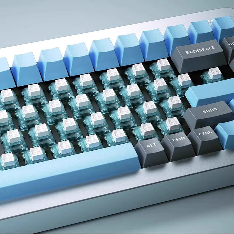 Chosfox Arctic Fox Switch