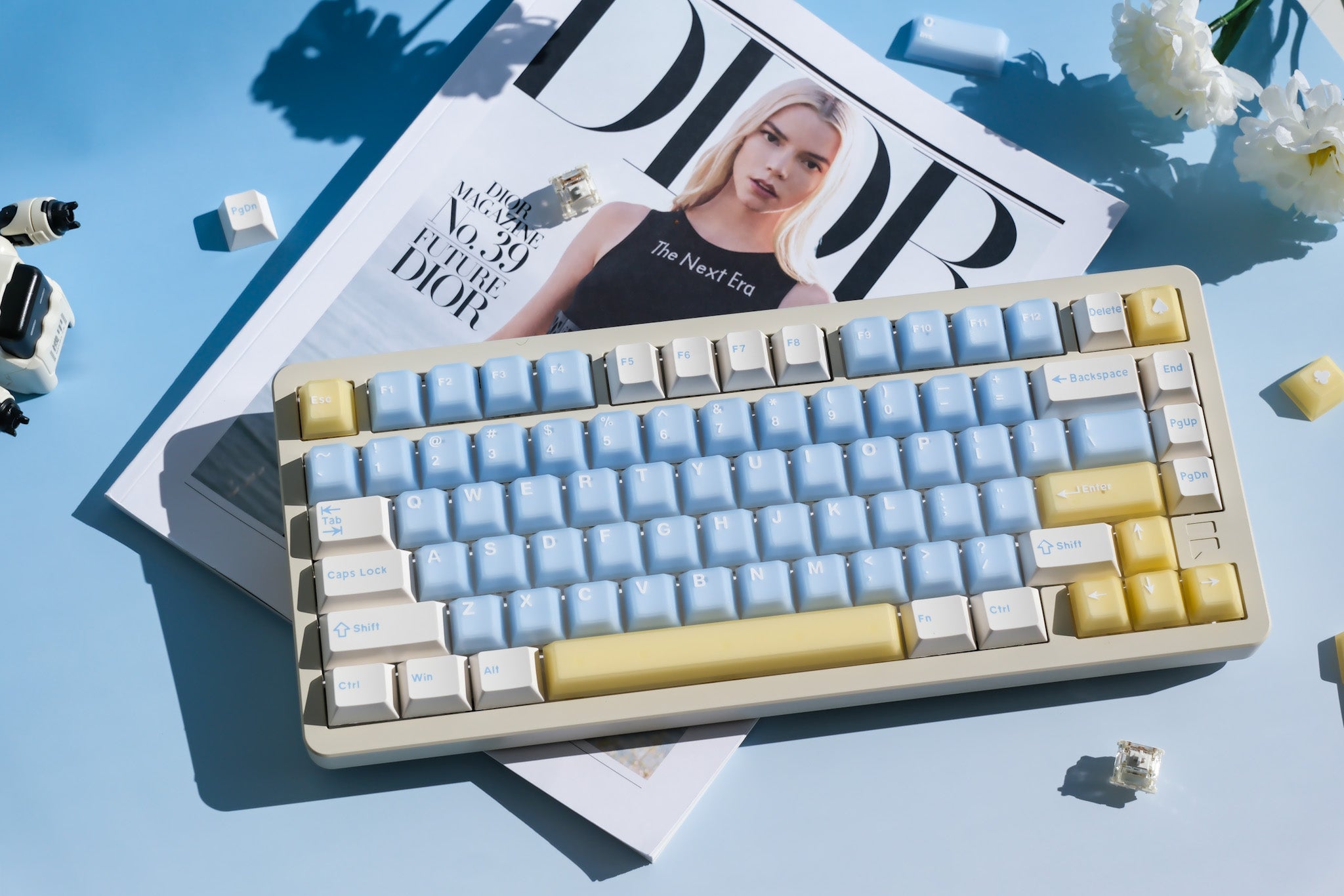 Mechanical Keyboards