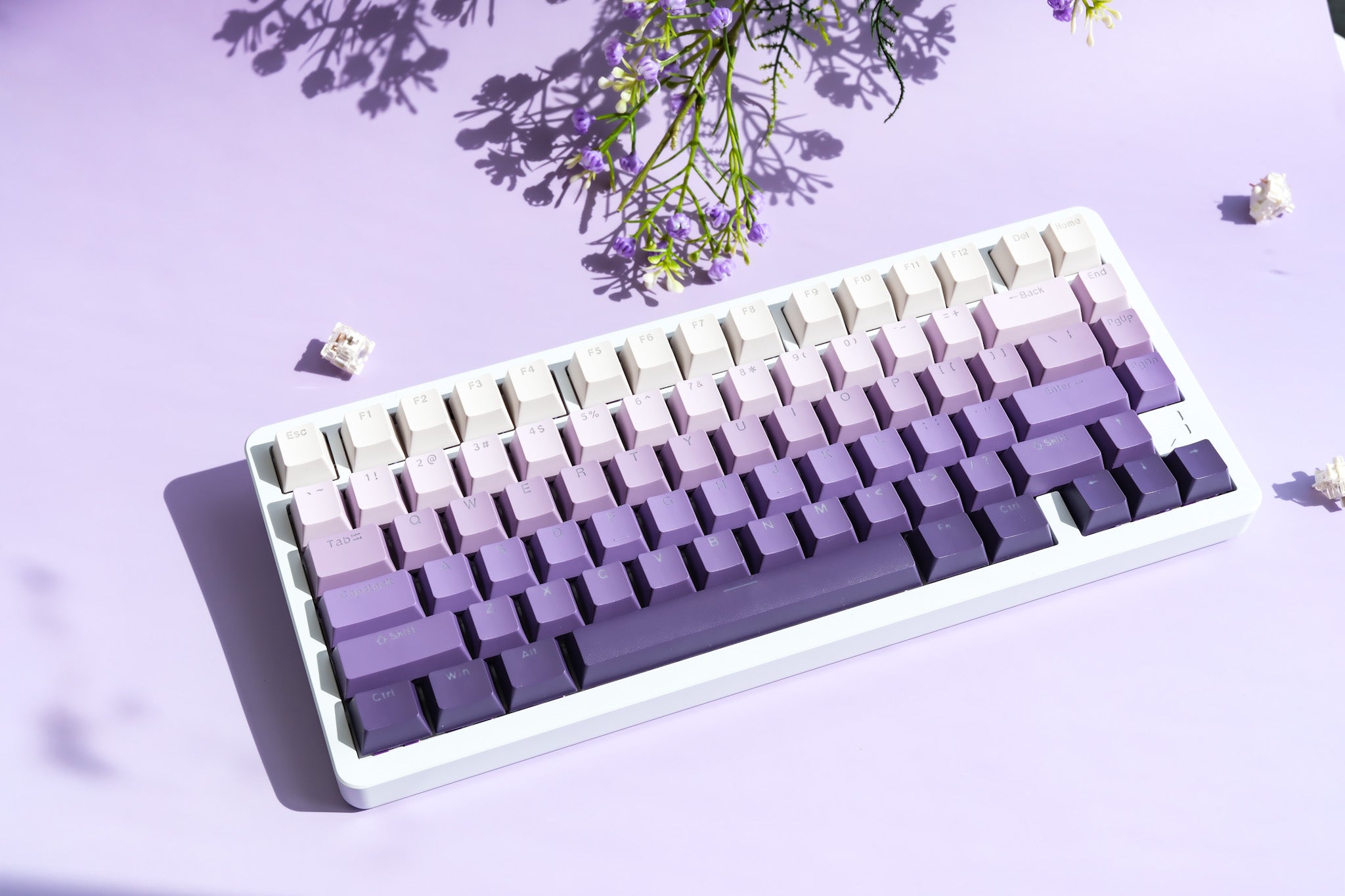 F75 White | Lavender Mechanical Keyboard