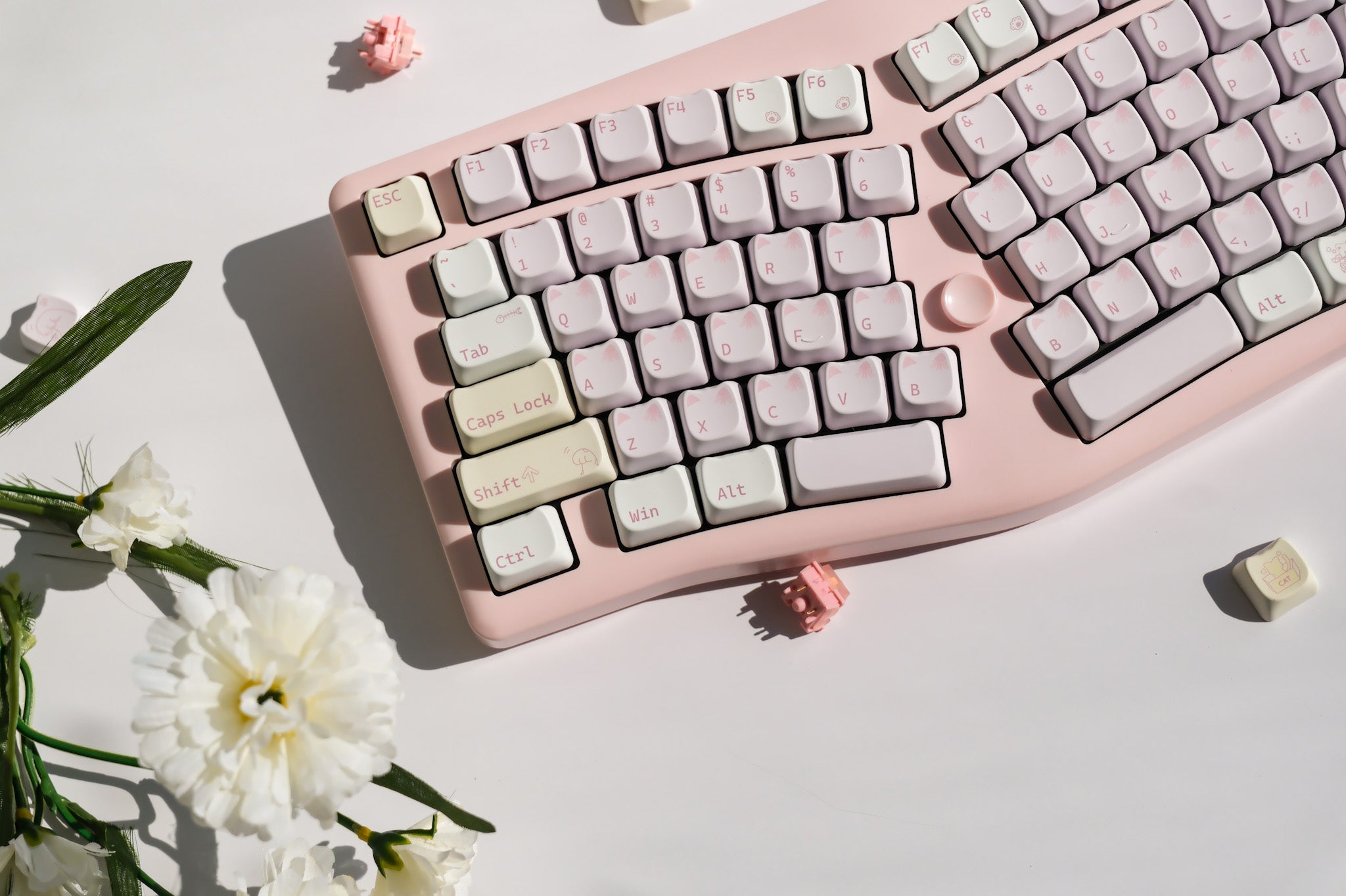 Alice75 Pink Grace Catty | Mechanical Keyboard | Pre-order Opens Now!