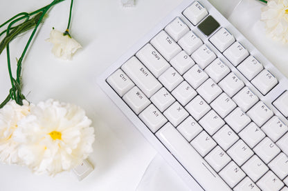 Hi75C White Jelly Mechanical Keyboard