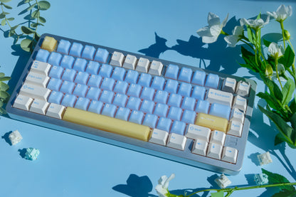 F75 Silver | Salted Soda Mechanical Keyboard