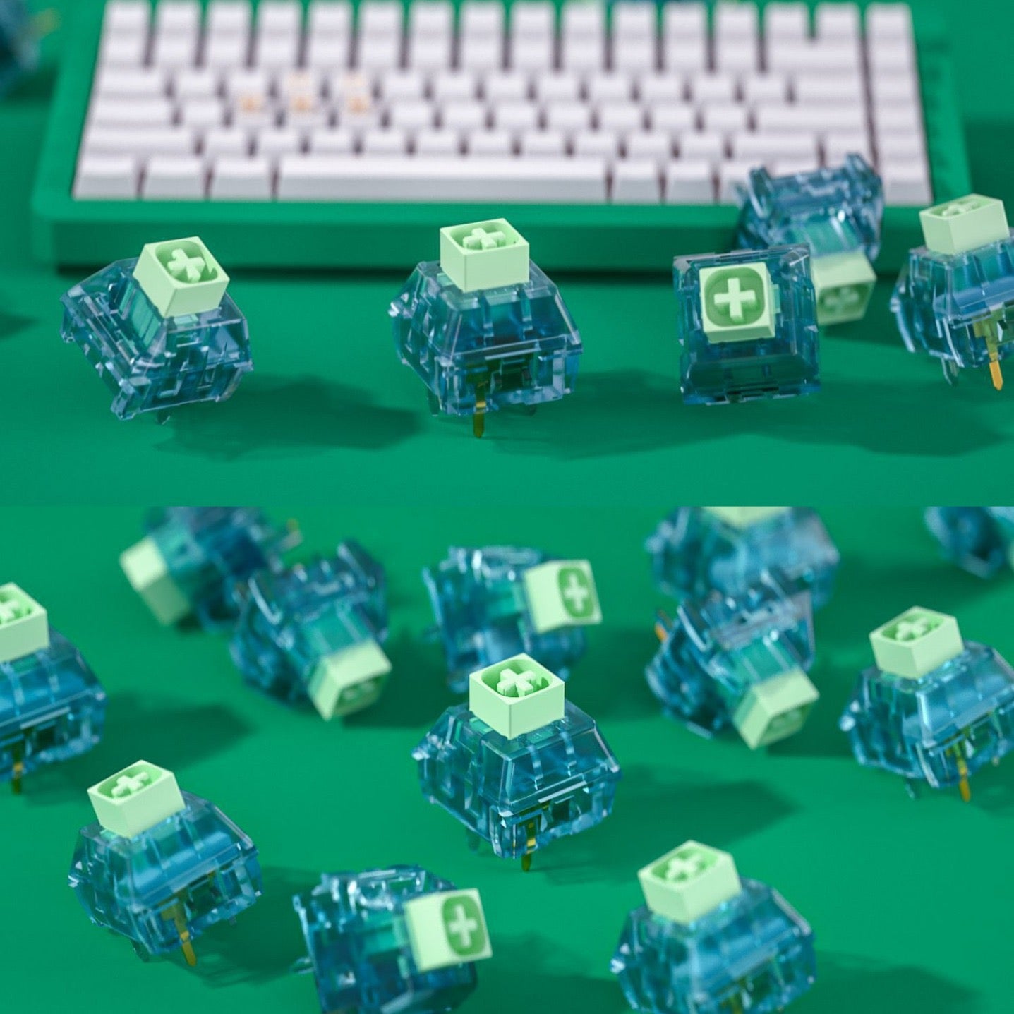 Kailh Box Summer Clicky Switch