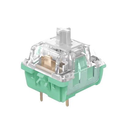 Cabbage Tofu Switch