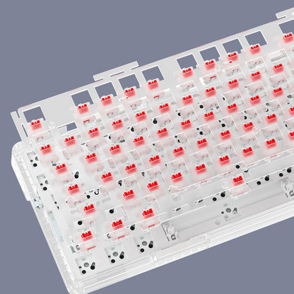ZT82 Transparent Mechanical Keyboard Barebone