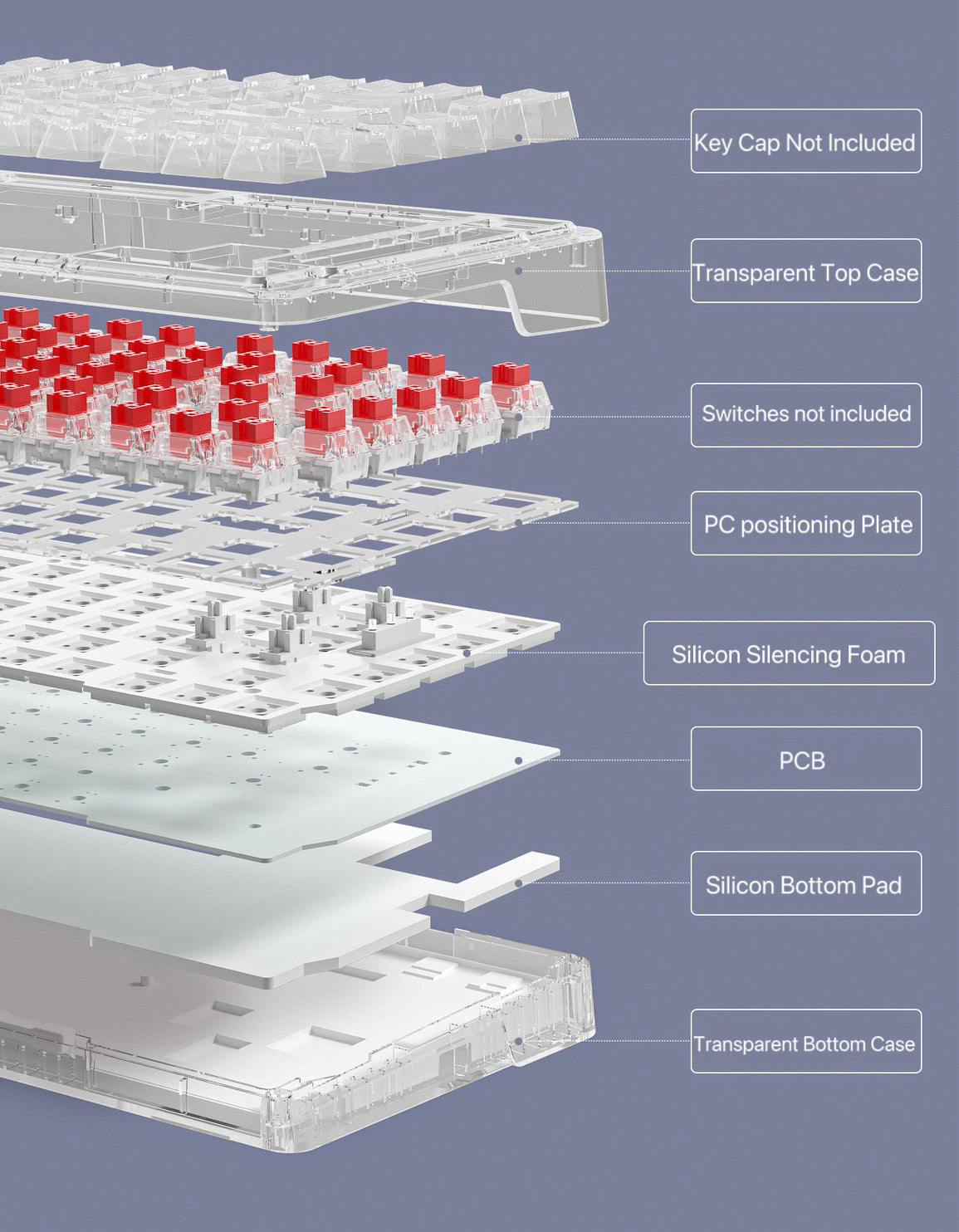 ZT82 Transparent | Frozen Starlights Mechanical Keyboard