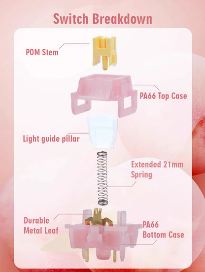 Outemu Silent Peach V3 Switch